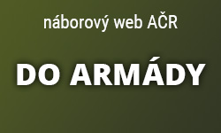 Do armády