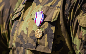 Den ozbrojených sil - slavnostní nástup